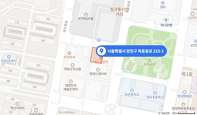 서울특별시 양천구 목동동로 233-3 지도