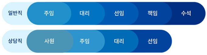 직급체계